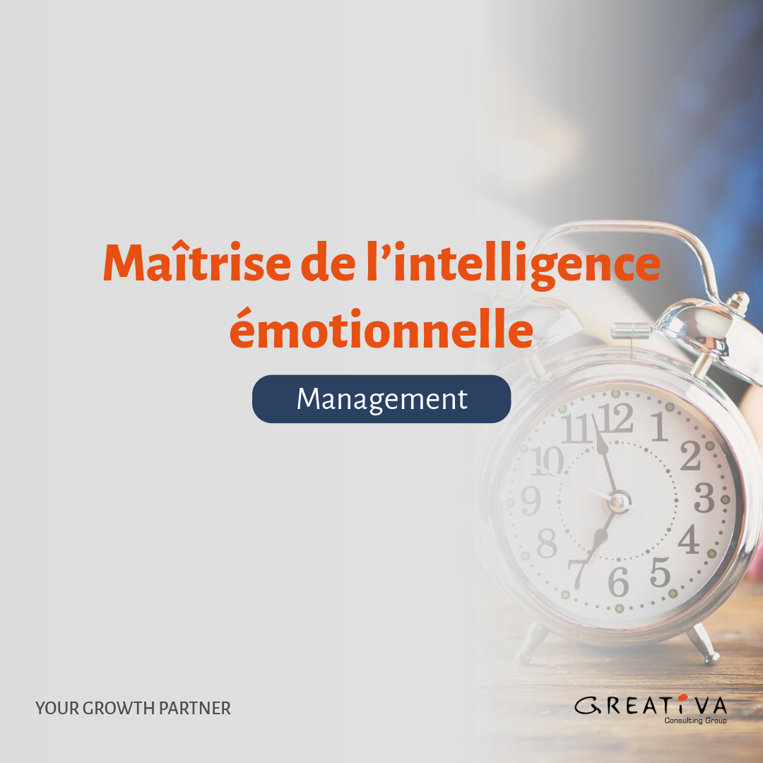 Maitrise de l'intelligence émotionnelle